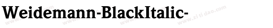 Weidemann-BlackItalic字体转换