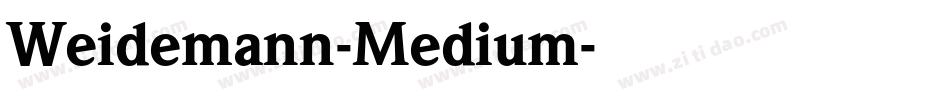 Weidemann-Medium字体转换