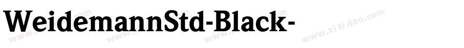 WeidemannStd-Black字体转换