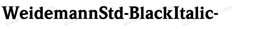 WeidemannStd-BlackItalic字体转换