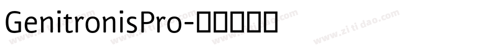 GenitronisPro字体转换