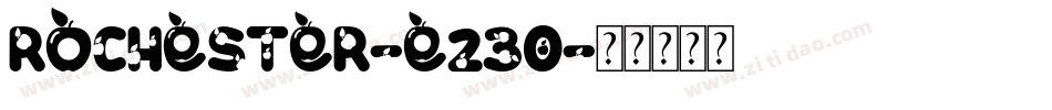 Rochester-e23O字体转换
