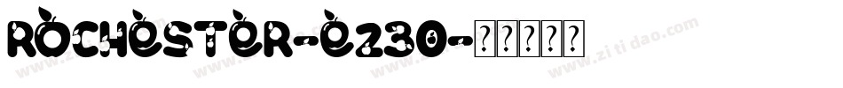 Rochester-e23O字体转换