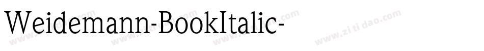Weidemann-BookItalic字体转换