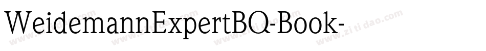 WeidemannExpertBQ-Book字体转换