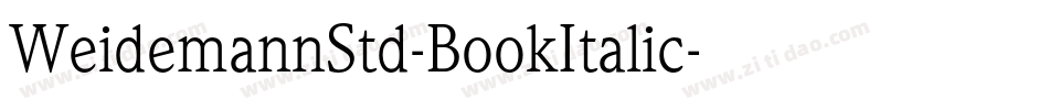 WeidemannStd-BookItalic字体转换