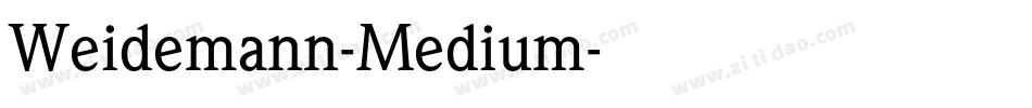 Weidemann-Medium字体转换
