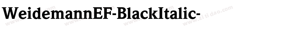 WeidemannEF-BlackItalic字体转换