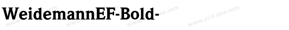WeidemannEF-Bold字体转换