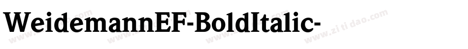 WeidemannEF-BoldItalic字体转换