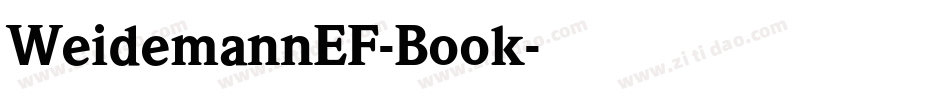 WeidemannEF-Book字体转换