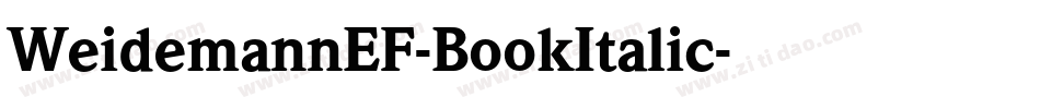 WeidemannEF-BookItalic字体转换