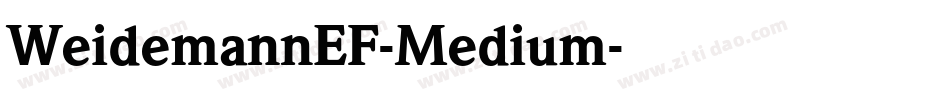 WeidemannEF-Medium字体转换