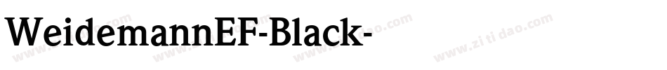 WeidemannEF-Black字体转换