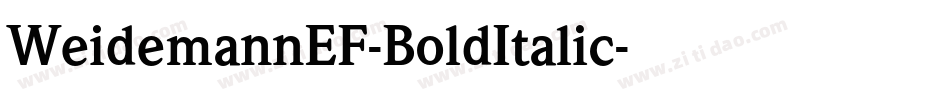 WeidemannEF-BoldItalic字体转换