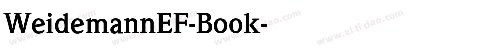 WeidemannEF-Book字体转换