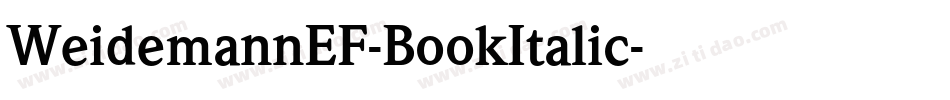 WeidemannEF-BookItalic字体转换