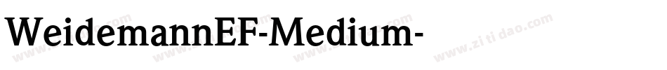 WeidemannEF-Medium字体转换