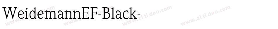 WeidemannEF-Black字体转换