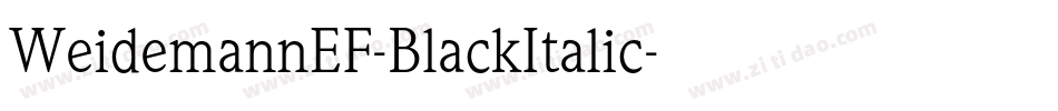 WeidemannEF-BlackItalic字体转换