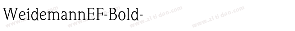 WeidemannEF-Bold字体转换