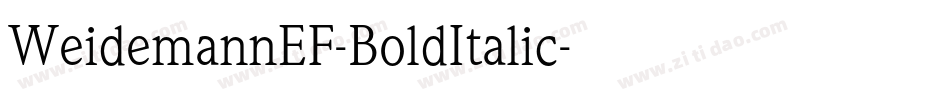WeidemannEF-BoldItalic字体转换