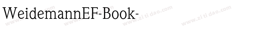 WeidemannEF-Book字体转换