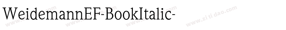 WeidemannEF-BookItalic字体转换