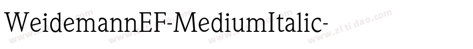 WeidemannEF-MediumItalic字体转换