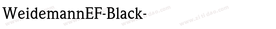 WeidemannEF-Black字体转换