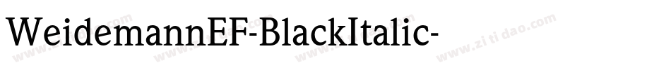 WeidemannEF-BlackItalic字体转换