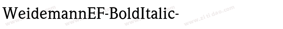 WeidemannEF-BoldItalic字体转换