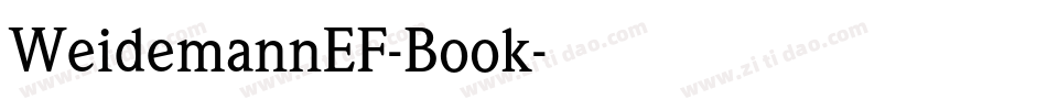 WeidemannEF-Book字体转换