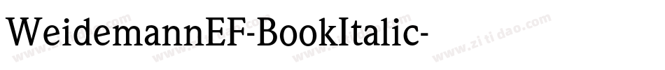 WeidemannEF-BookItalic字体转换