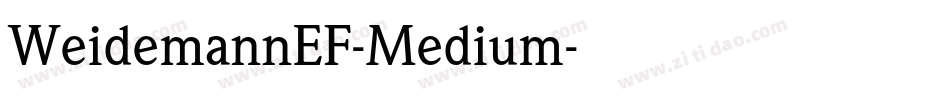 WeidemannEF-Medium字体转换