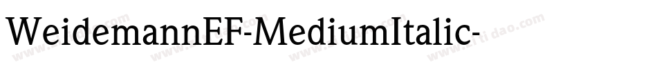 WeidemannEF-MediumItalic字体转换