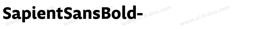 SapientSansBold字体转换