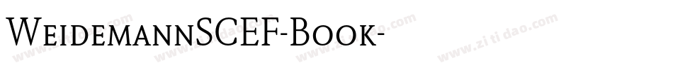 WeidemannSCEF-Book字体转换