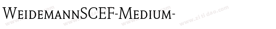 WeidemannSCEF-Medium字体转换