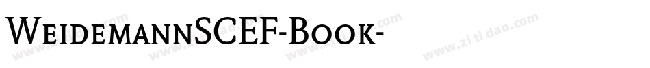 WeidemannSCEF-Book字体转换