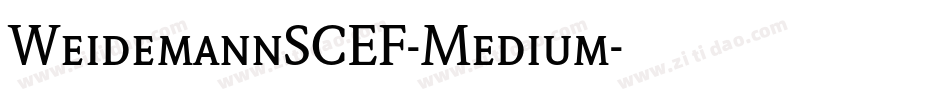 WeidemannSCEF-Medium字体转换