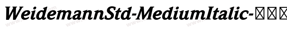 WeidemannStd-MediumItalic字体转换