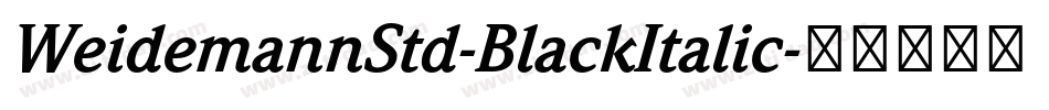 WeidemannStd-BlackItalic字体转换