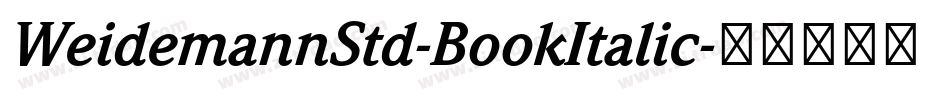 WeidemannStd-BookItalic字体转换