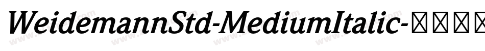 WeidemannStd-MediumItalic字体转换