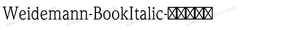 Weidemann-BookItalic字体转换