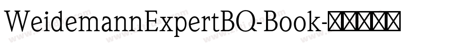 WeidemannExpertBQ-Book字体转换