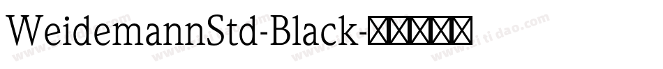 WeidemannStd-Black字体转换