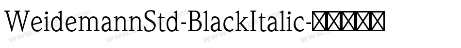 WeidemannStd-BlackItalic字体转换