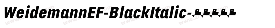 WeidemannEF-BlackItalic字体转换